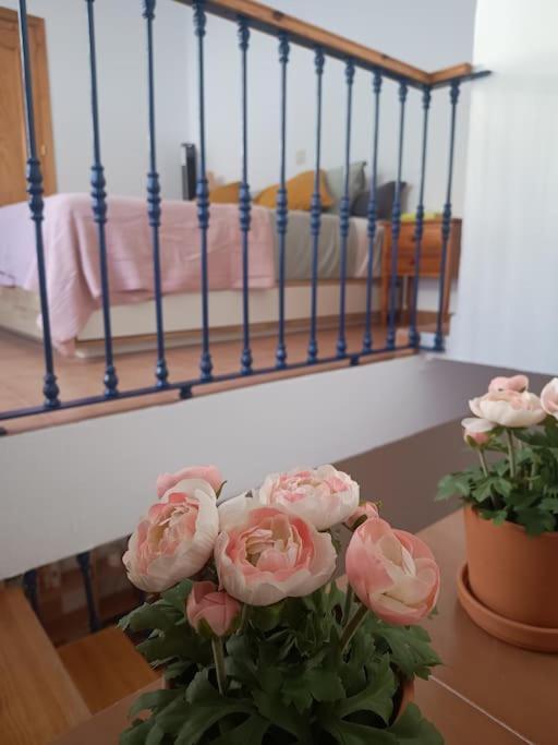 Casa Heli - Ruim Appartement Met Dakterras In Polopos المظهر الخارجي الصورة